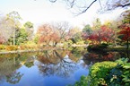 Arisugawa Park in Hiroo, Tokyo